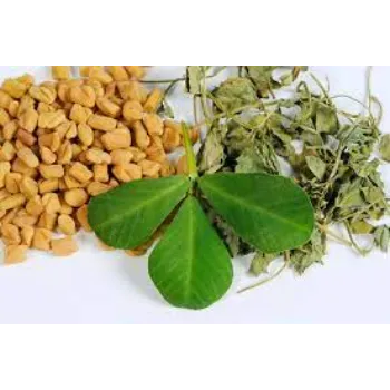 Nutrients Dried Fenugreek Leaves